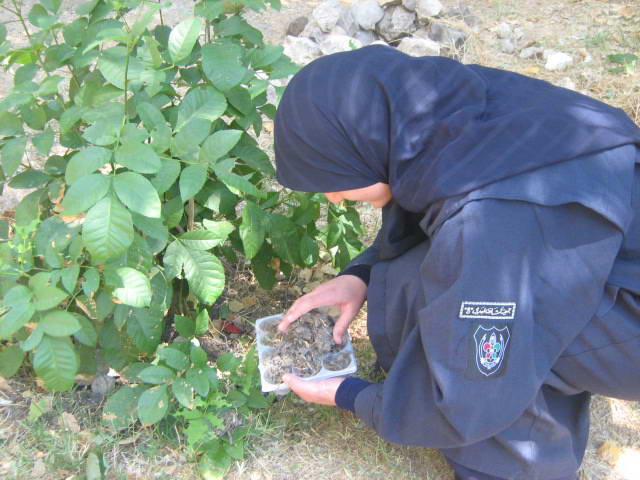 أنشطة تطوعية